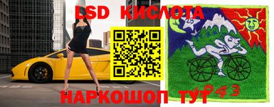 эйфоретик Будённовск