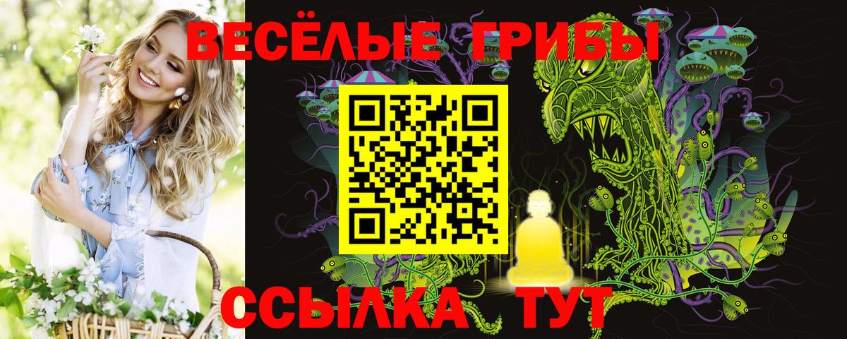 Кудрово  Галлюциногенные грибы Psilocybine cubensis  Вход с VPN 