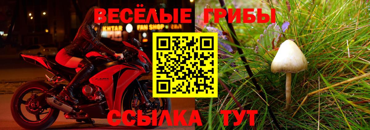 Галлюциногенные грибы Magic Shrooms Кудрово